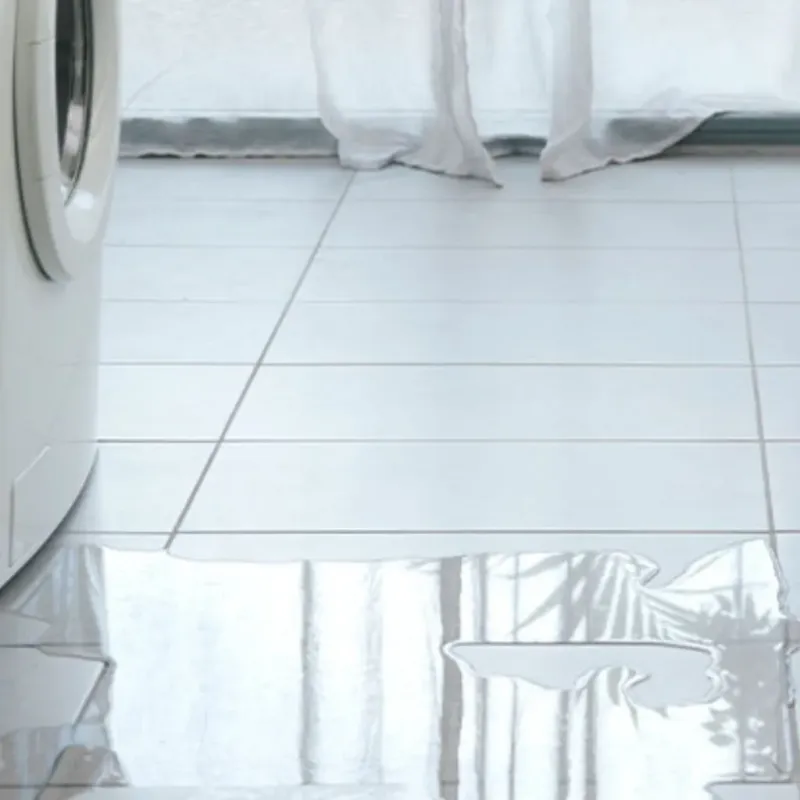 Appliance Leak Cleanup in Mansfield, TX