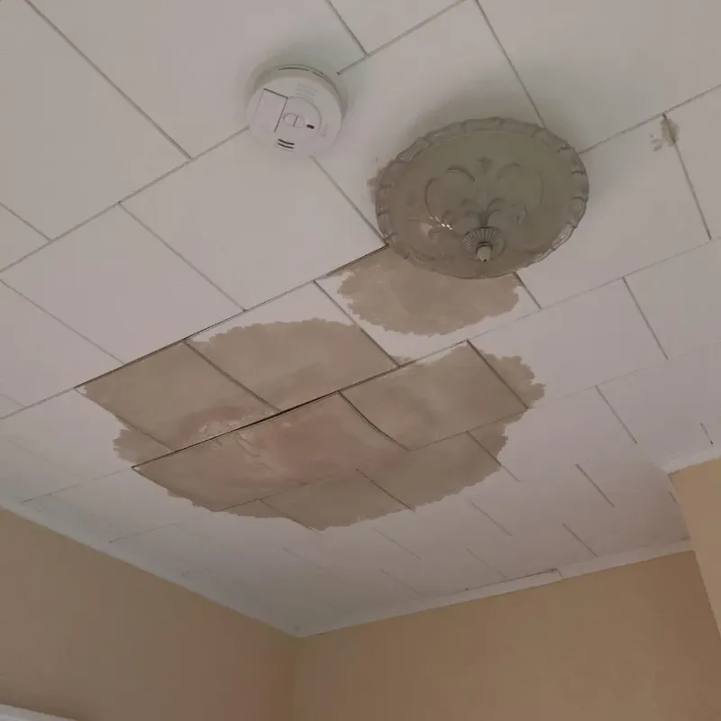 Ceiling Water Damage Repair in Mansfield, TX
