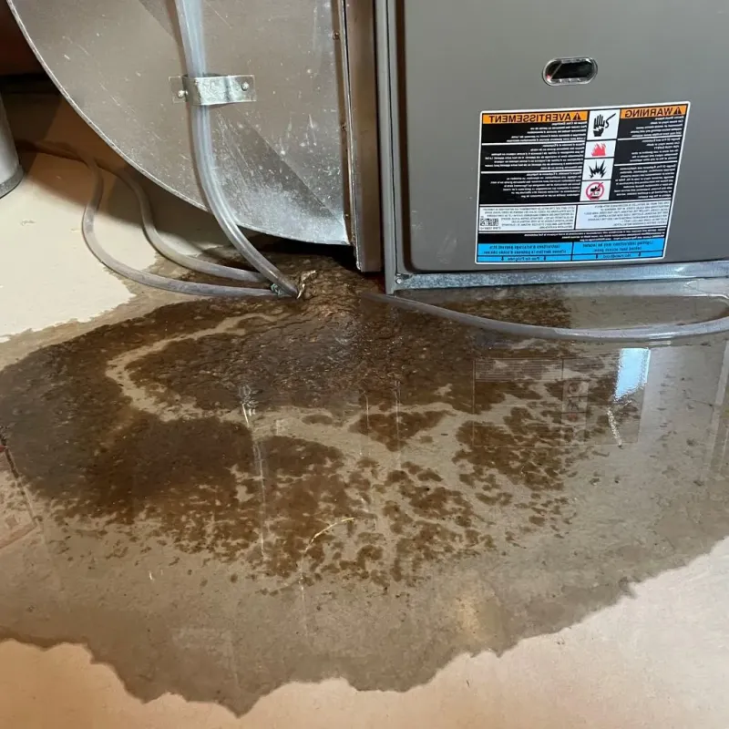 Pipe Burst and Leak Restoration in Mansfield, TX